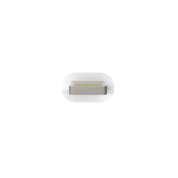 Artwizz - Lightning to USB cable Alu (gold),artwizz,lightning,to,usb,cable,alu,(gold),cabo,lightningusb,com,1,metro,de,comprimento,e,pontas,douradas